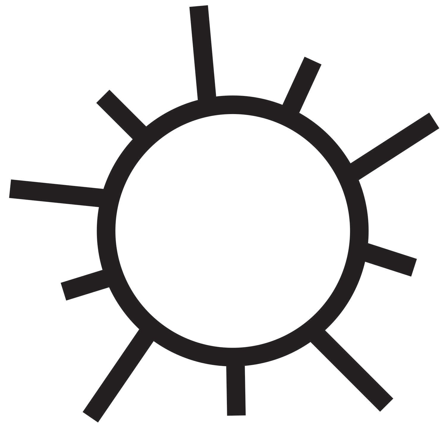 Coalatree Sun Icon
