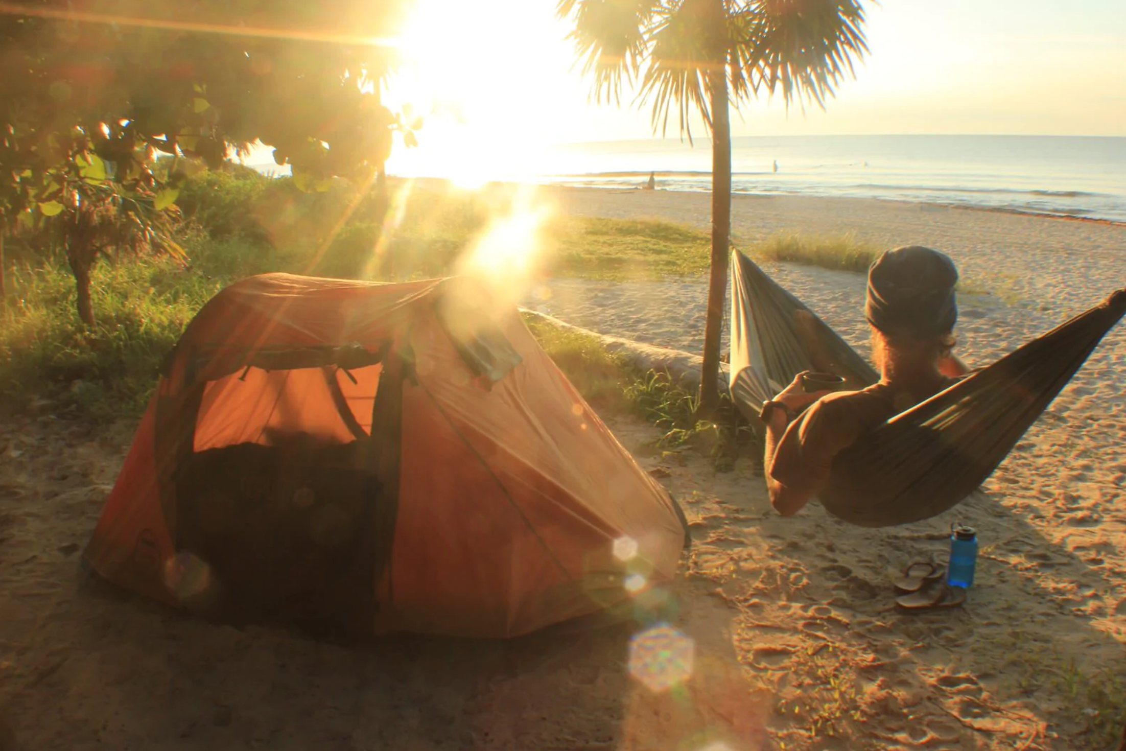 Coalatree Hammock