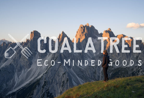 Getting to Know the Founder and CEO of Coalatree