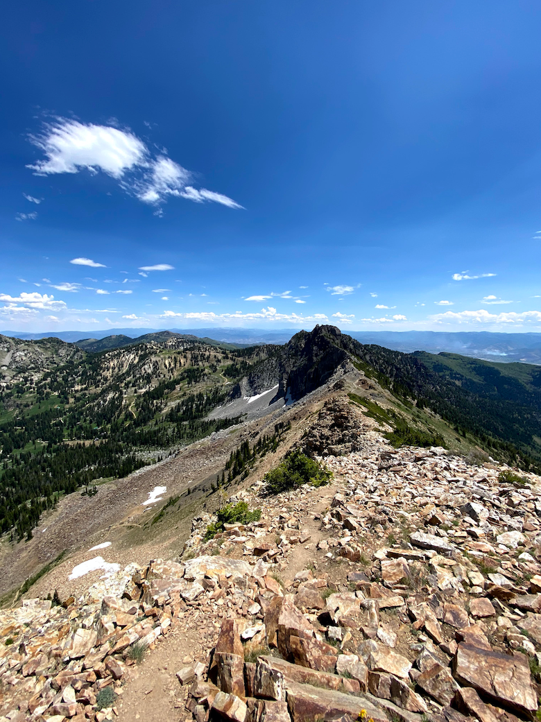 Completing the Wasatch Ultimate Ridge Linkup – Coalatree