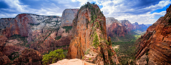 Giving Back to National Parks in a time when when it's needed most.