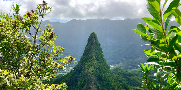 Danger on Hawaii's Three Peaks Trail