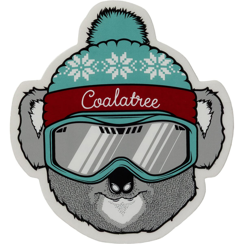 CT Ski Sticker 5 Pack