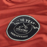 10 Year Brick
