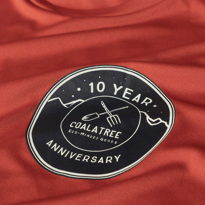 10 Year Brick