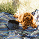Kachula Adventure Blanket