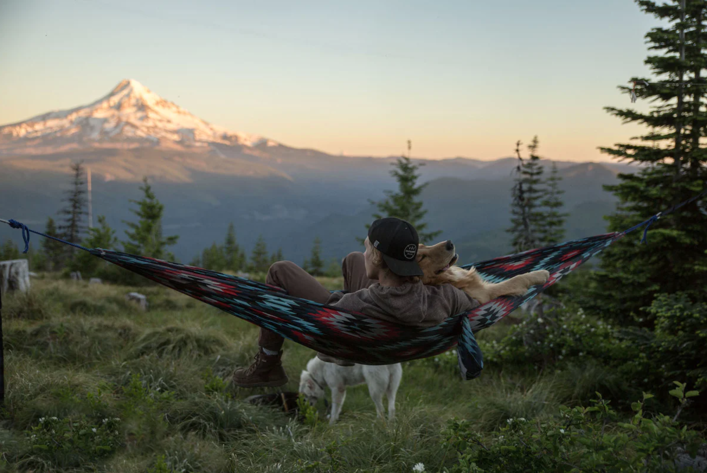 Coalatree hammocks