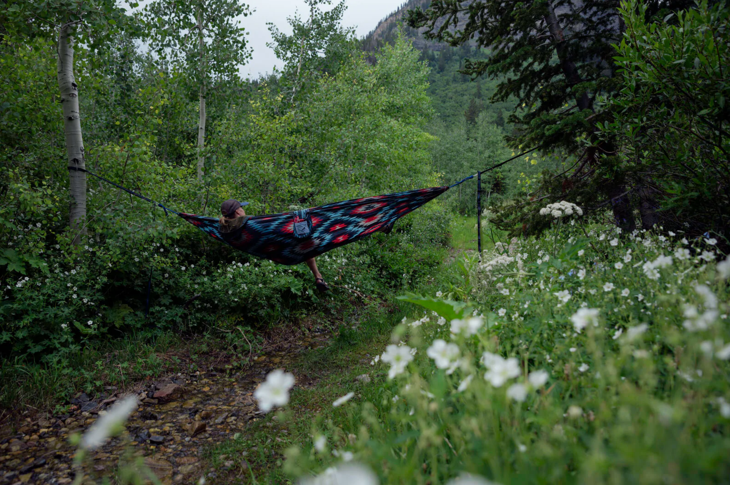 Escalante Hammock