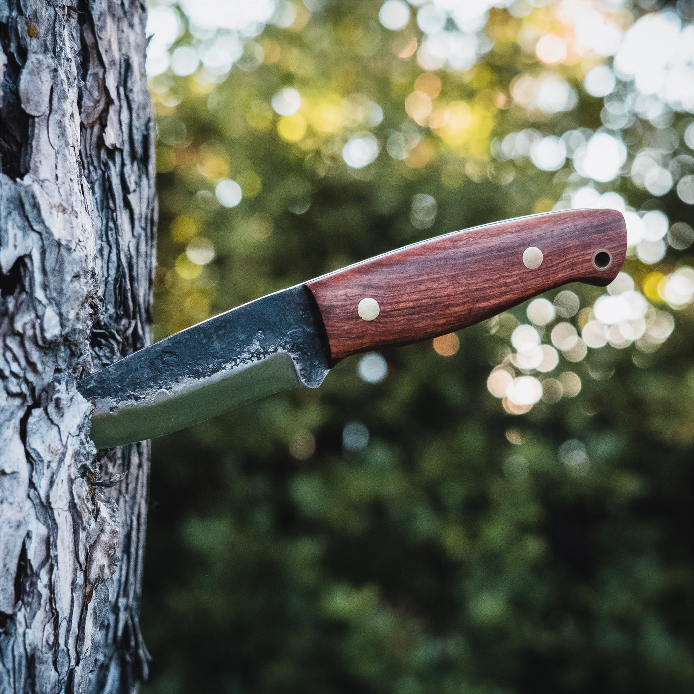 Haswell Survival Knife | Premium Outdoor Gear by CoalaTree – Coalatree